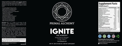 IGNITE