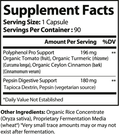 CATALYST