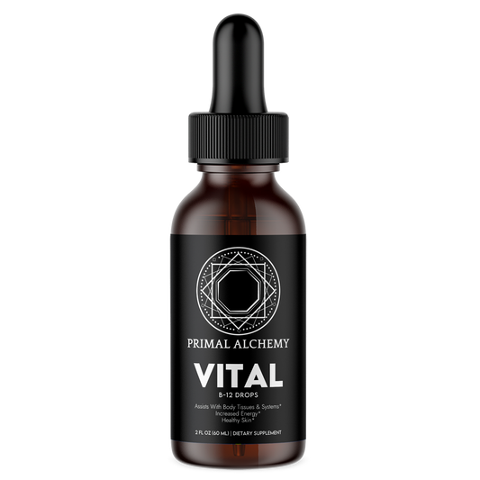 VITAL V-12